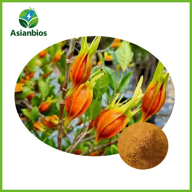 Gardenia Fruit Powder Gardenia Fruit Powder